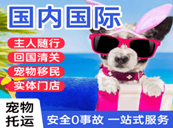 丹东空运地址国际宠物托运 【国
